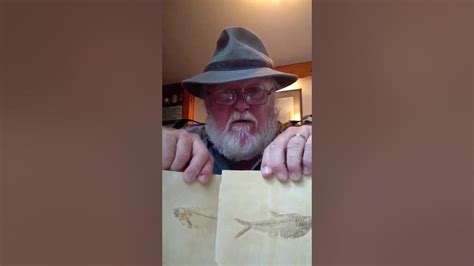 Fossil Fish of the Lost Lake Kemmerer, Wyoming - YouTube