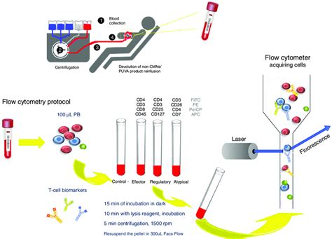 Flow Cytometry Chart