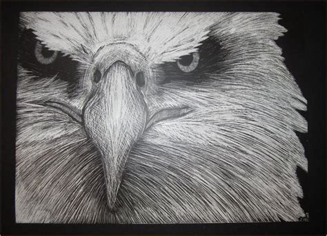 Scratch Art Animals - North Woods Art