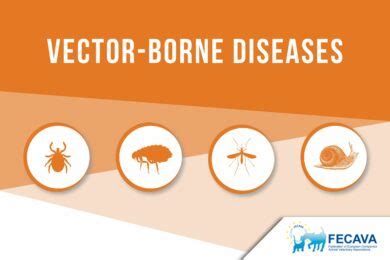 Vector-borne diseases - FECAVA