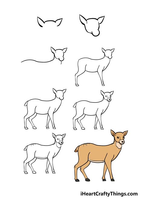 Deer Drawing - How To Draw A Deer Step By Step!