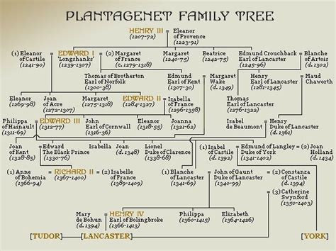 Plantagenet Family Tree | Genealogy history, Family tree, Royal family ...