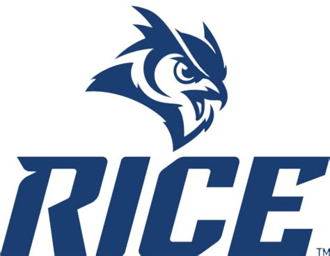 Rice Owls logo transparent PNG - StickPNG