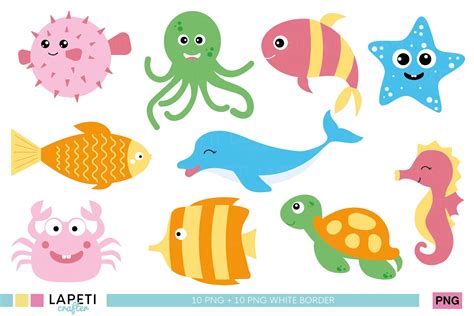 Colorful Sea Creatures