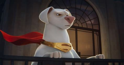 DC League Of Super-Pets Director Explains Why Dwayne Johnson Was Right ...