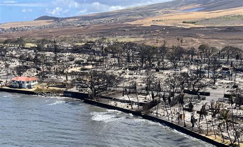 Maui Hawaii Fires 2024 Update - Teddy Gennifer