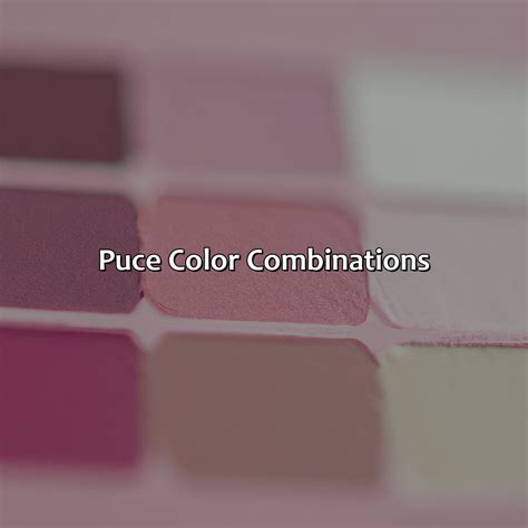 What Color Is Puce - colorscombo.com