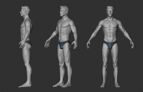 ArtStation - Male Anatomy Study: Zbrush Sculpt, Maria Rita | Anatomy ...