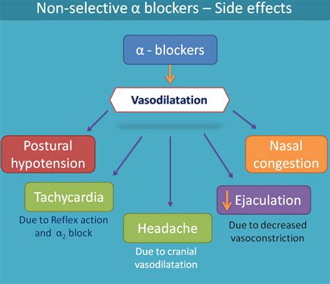 Alpha Adrenergic Blockers List