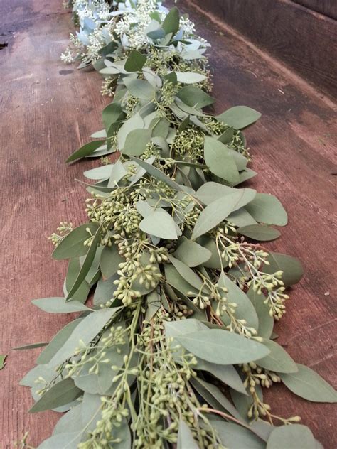 Seeded Eucalyptus Garland – The Garland Guy