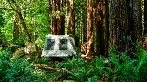 A Nature Lover's Guide to Redwood National Park Camping | Condé Nast ...