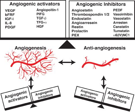 Angiogenesis Inhibitors