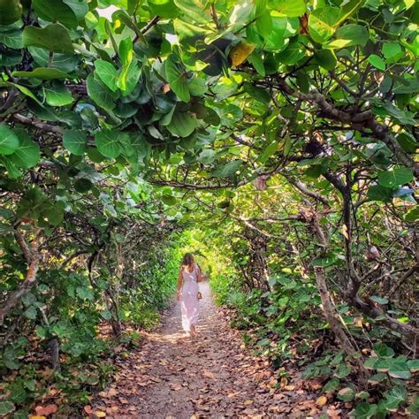 Blowing Rocks Preserve In Florida Has Whimsical Tunnels To Explore ...