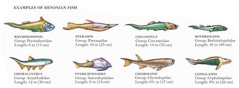 PRECAMBRIAN TO DEVONIAN PERIODS | ALLSTARS BLOGS