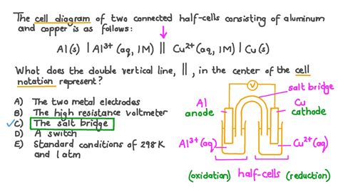 Question Video: Identifying What the Double Vertical Line in Cell ...