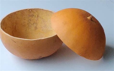 Authentic African CALABASH BOWL and LID Gourd Hand Carved 2 | Etsy