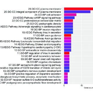 | Bar graph illustrating the enrichment analysis. The abscissa ...