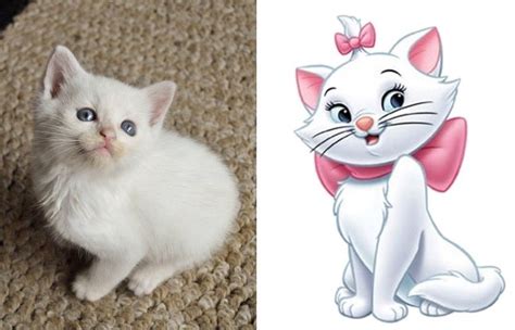 Marie from The Aristocats: This white kitten and the prettiest little ...