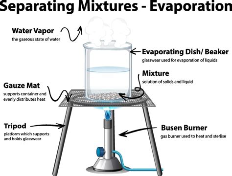 Diagram showing Evaporation Separating Mixtures 3176406 Vector Art at ...