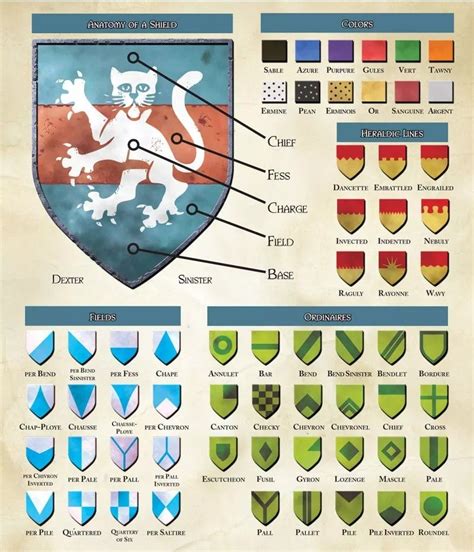 Anatomy of a Shield | Heraldry design, Coat of arms, Heraldry