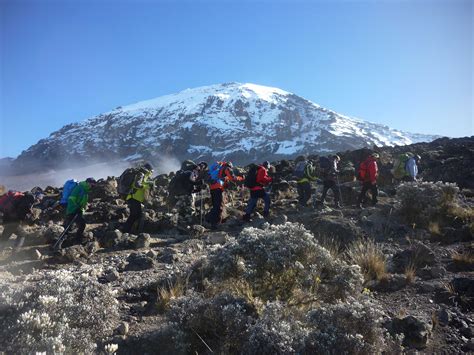 Climb Kilimanjaro | Kandoo Adventures