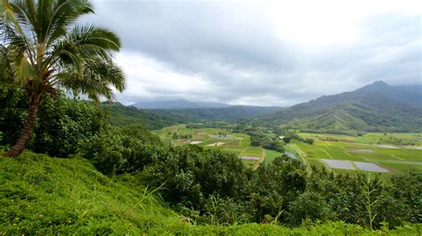 Ferienwohnung Hanalei Valley Lookout: Ferienhäuser & mehr | FeWo-direkt