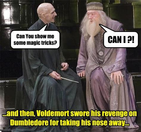 31 Funniest Voldemort Memes That Will Make You Laugh Uncontrollably ...