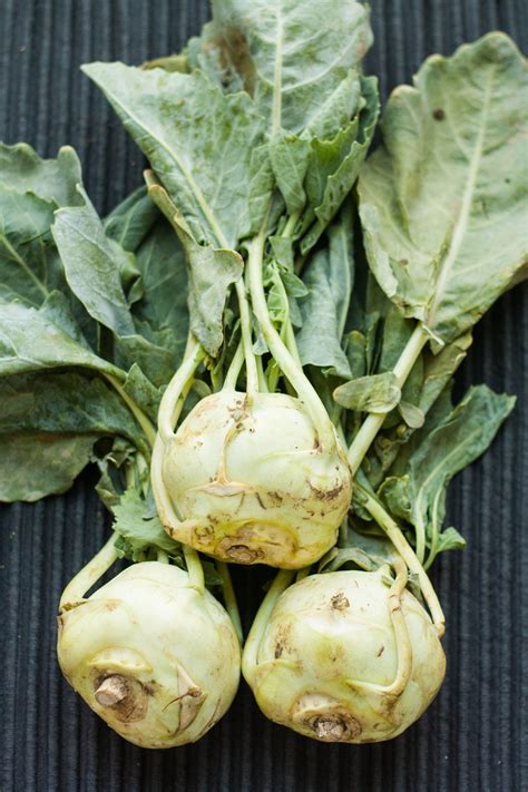 10 Tasty Ways to Prepare Kohlrabi | Kohlrabi recipes, Spring vegetables ...