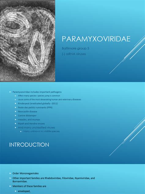 Paramyxoviridae | PDF | Virus | Diseases And Disorders