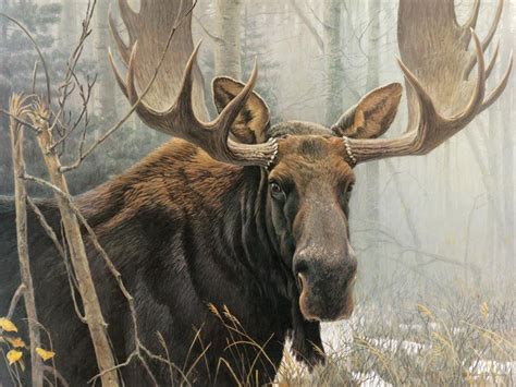 Related image | Moose painting, Wildlife art, Moose pictures