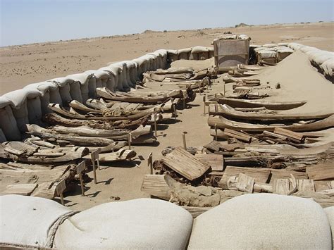 Tarim Basin mummies: retracing the origins of China's ancient settlers