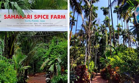 Sahakari Spice Farm in Ponda, Goa | Top Places to Visit in Goa | Goa ...