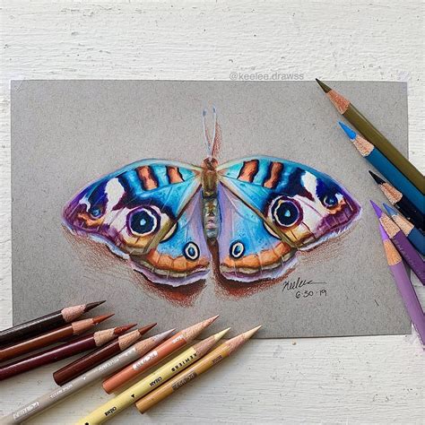 •Hello everyone!🌿 • here’s this colorful moth because i felt like ...