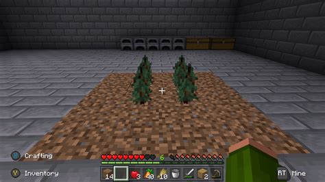 Dark Oak trees are not growing indoors in minecraft - Arqade