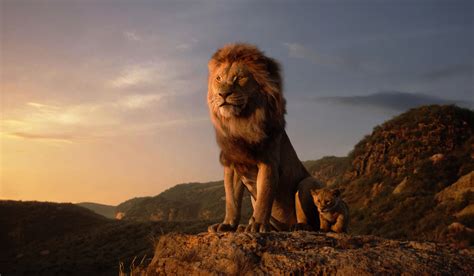 The Lion King Ultra HD Wallpapers - Wallpaper Cave