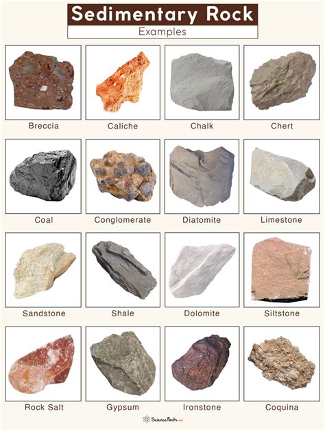 Sedimentary Rocks - Definition, Formation, Types, & Examples