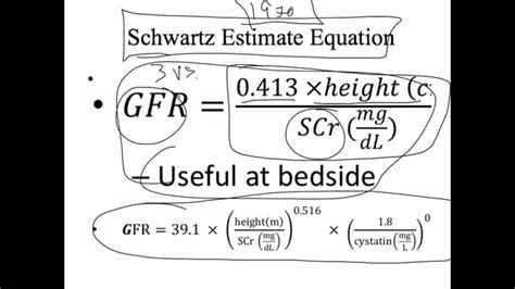 Calculate Gfr Mdrd Equation - Tessshebaylo