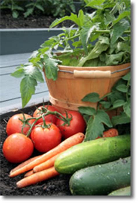 All About Gardening and Nature: Organic Vegetable Gardening, Planning ...