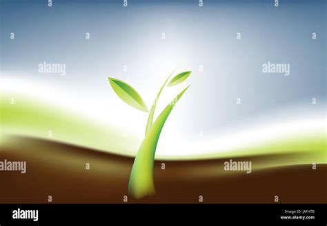 Plant Growth Background, theme of growth Stock Photo - Alamy