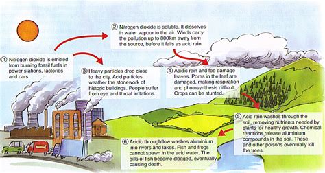 Advantages of Acid Rain - AlizaldDecker