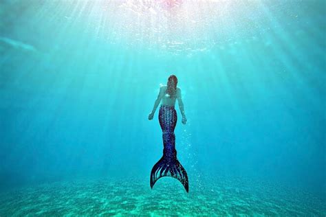 Maui Mermaid Ocean Swimming Lesson 2024