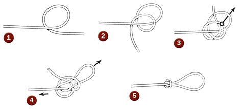 Four Loop Knots You Need to Know - On The Water