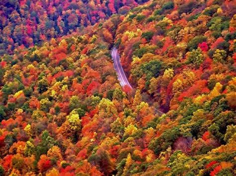 West Virginia--fall foliage | Fall | Pinterest