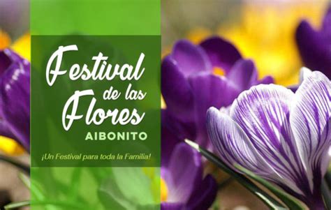 2024 Aibonito Flower Festival | Festival de las Flores | Discovering ...