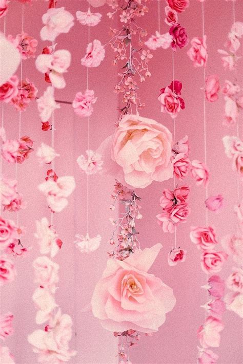 Pink Freak | Pink aesthetic, Pastel pink aesthetic, Pink flowers