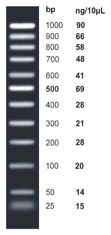 Gel Electrophoresis: Construct a standard curve using | Chegg.com