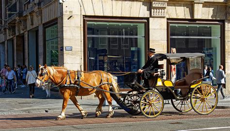 Buggy Ride Photograph by Rick Ulmer - Pixels