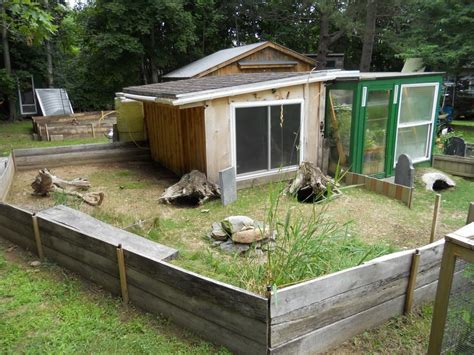 new tort shed and pen for sulcata | Sulcata tortoise, Outdoor tortoise ...