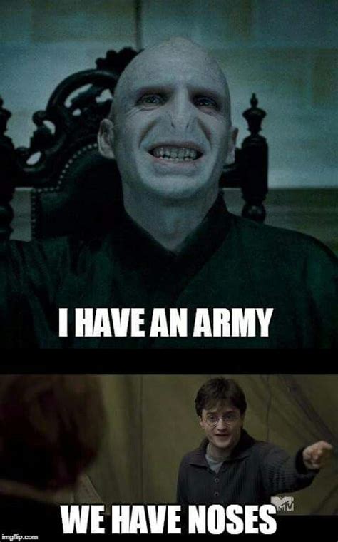 Pin by Maria Elder on Harry potter memes | Voldemort funny, Memes ...