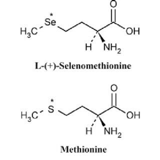 Molecular structure of L-(?)-selenomethionine and methionine, showing ...